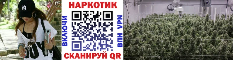 Где купить наркоту Нововоронеж Конопля СОЛЬ ГАШ АМФЕТАМИН мега как войти Кокаин