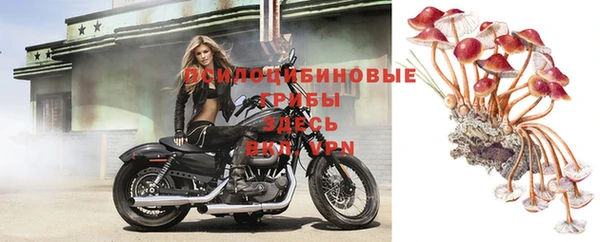 бутират Арсеньев