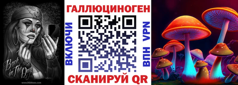 Галлюциногенные грибы мицелий  Нововоронеж 