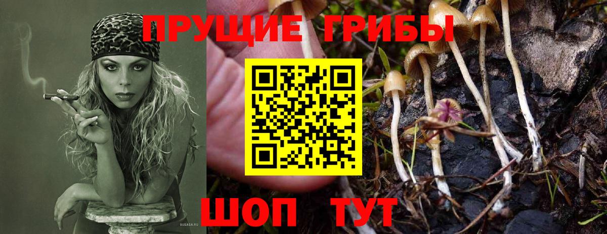 Псилоцибиновые грибы мухоморы Нововоронеж