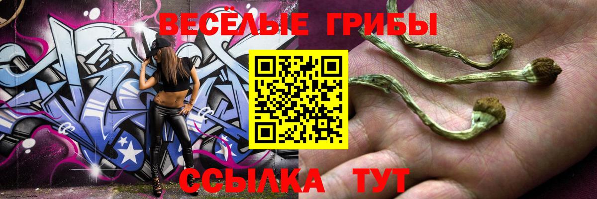 Нововоронеж  Галлюциногенные грибы мухоморы  Псилоцибиновые грибы ЛСД  Вход с VPN 